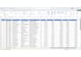 do excel data entry, formulas, formatting and pivot table